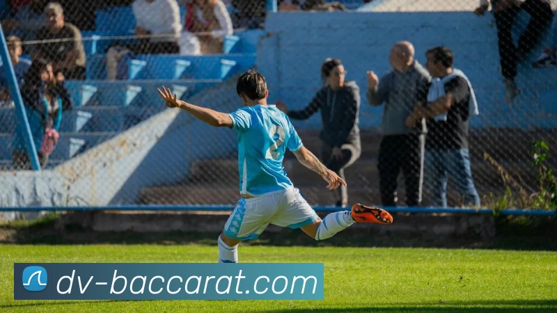 多媒体互动体验