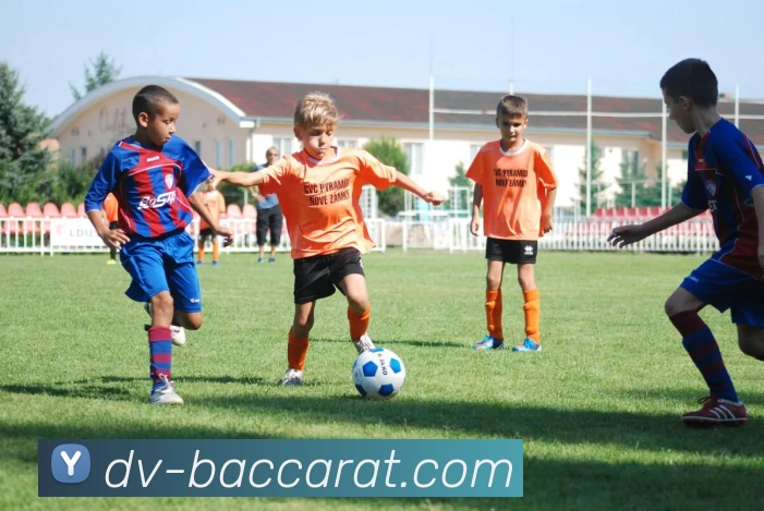 百家乐官网APP 体育赛事宣传图